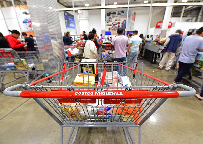 costco membership revenue