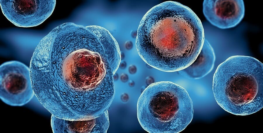 Stem Cell Medicine most crowdfunded projects in the world